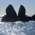 Split apple rock, Abel Tasman park